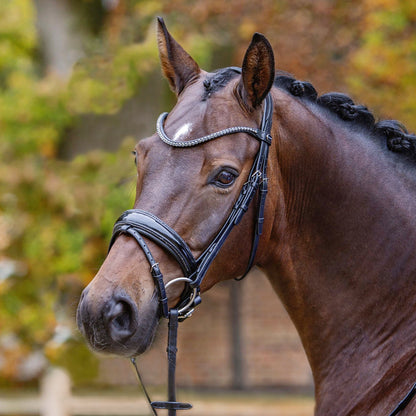 Shadow Bridle