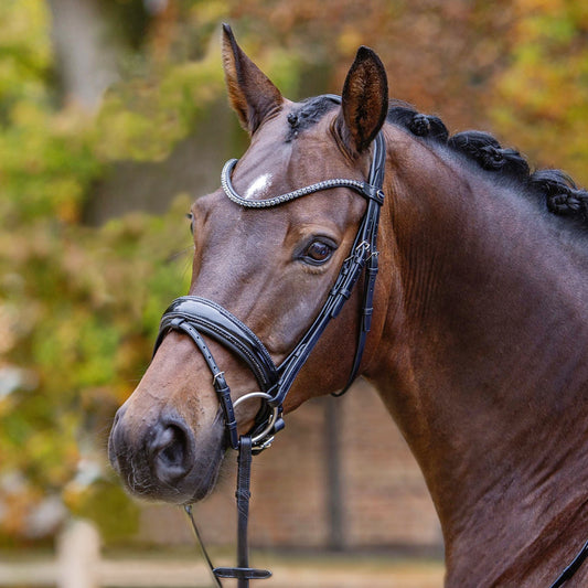 Shadow Bridle