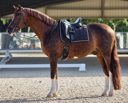 Luxury Dressage Pad
