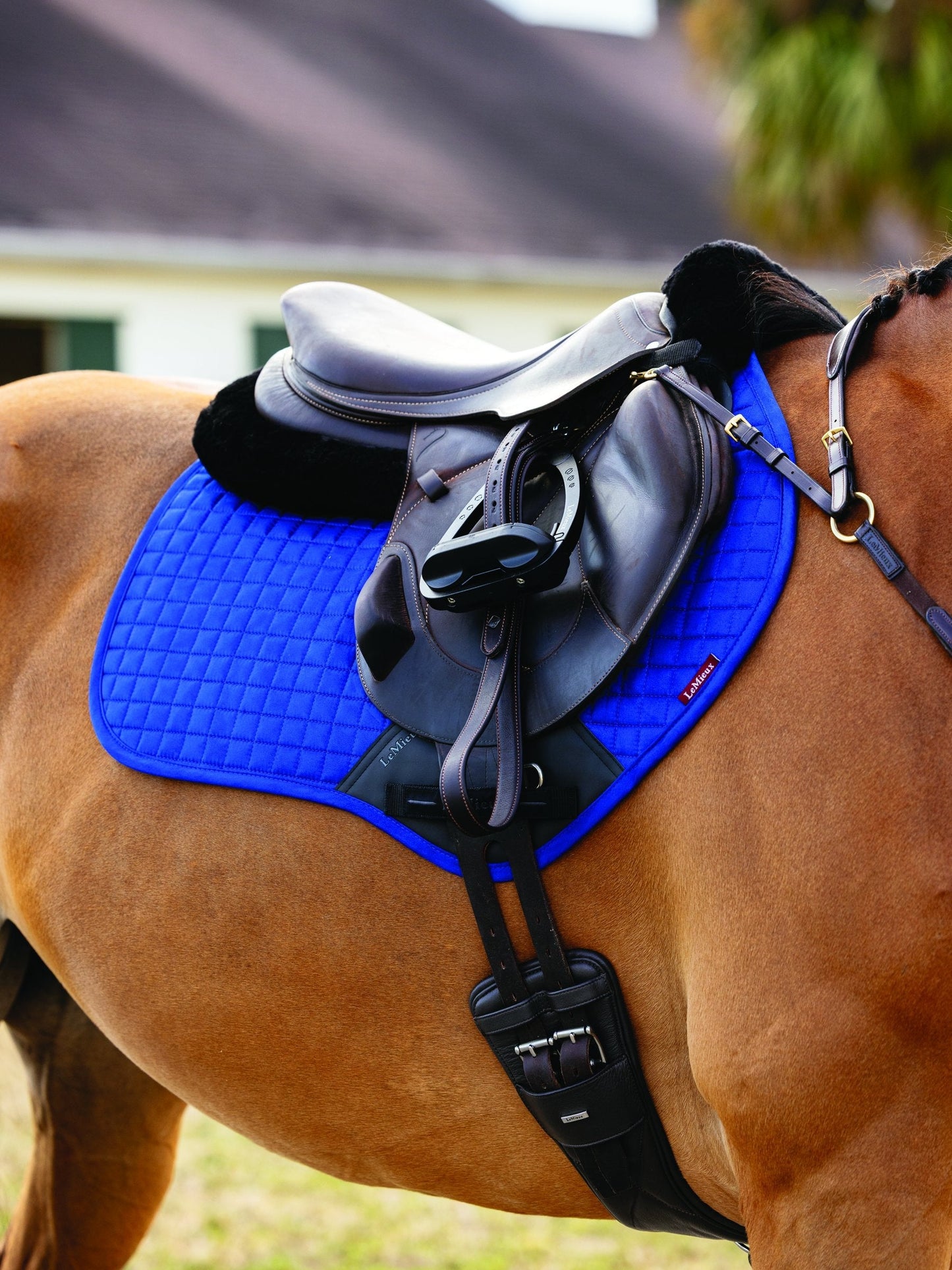 Suede Close Contact Saddle Pad