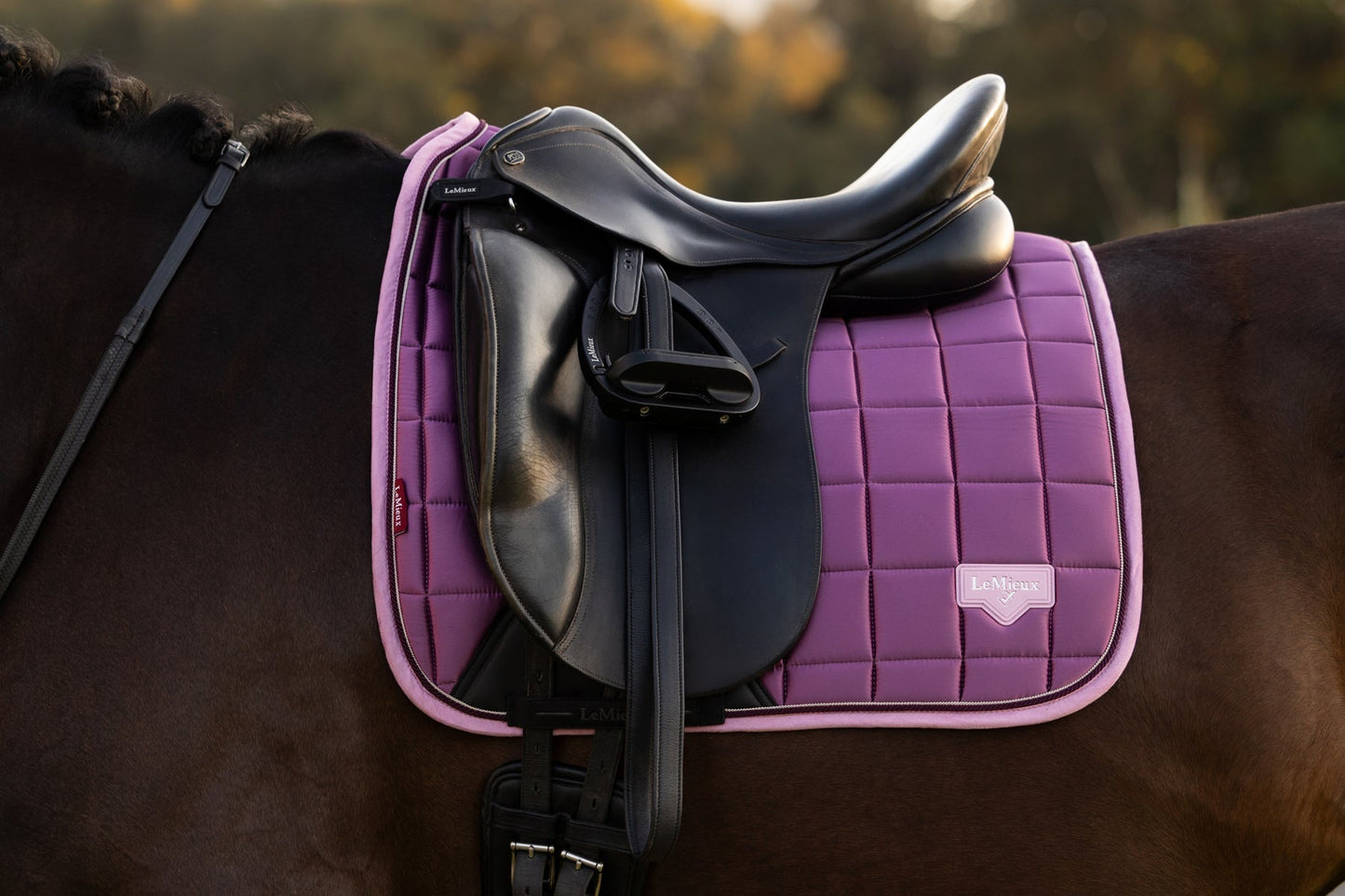 Loire Dressage Saddle Pad
