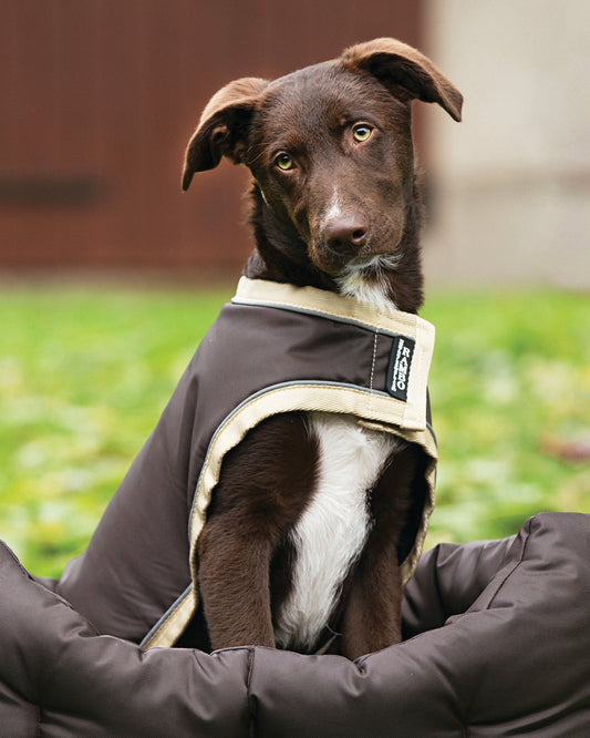 Waterproof Dog Blanket