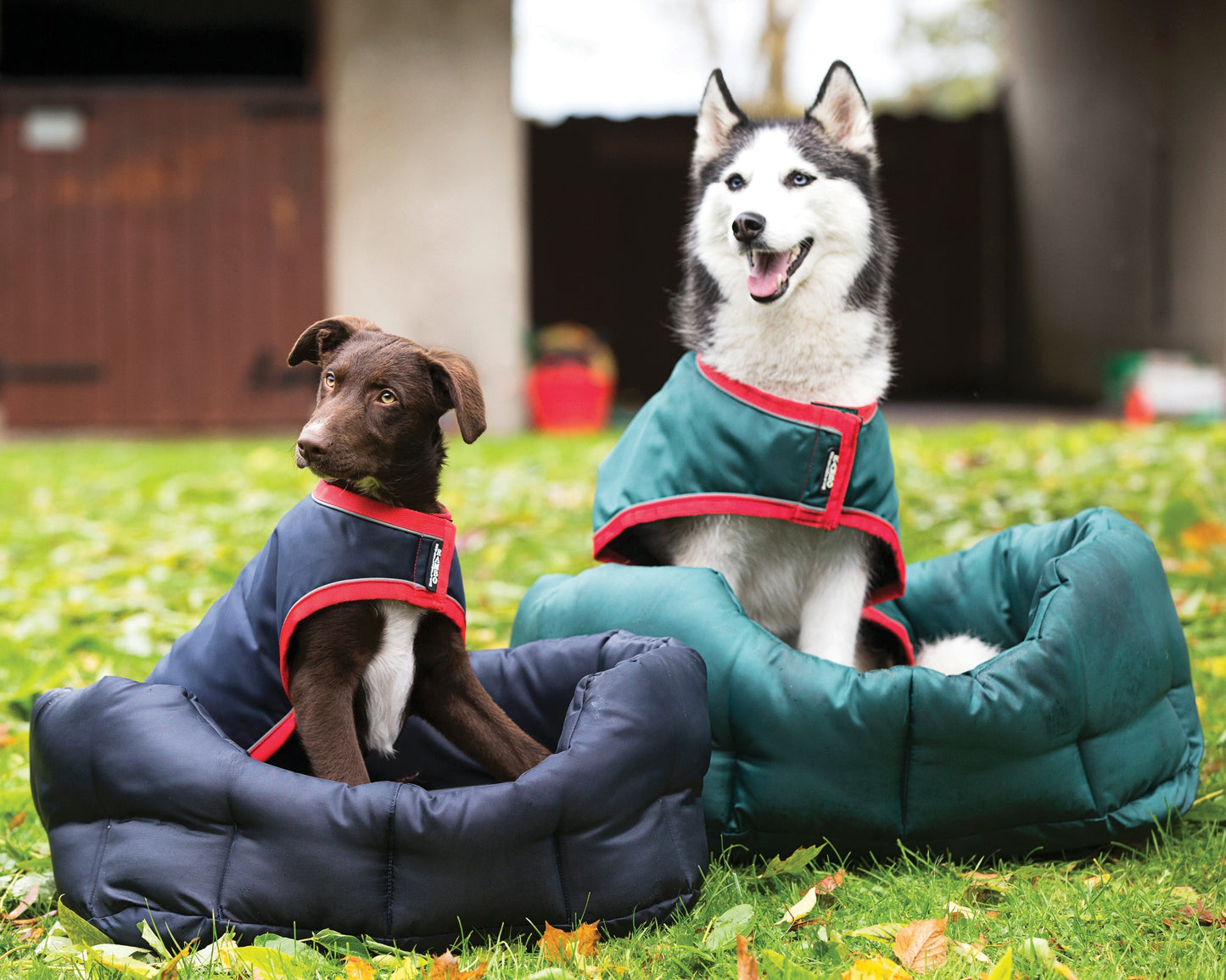 Waterproof Dog Blanket