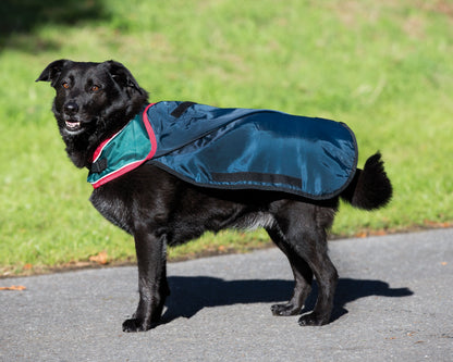 Waterproof Dog Blanket