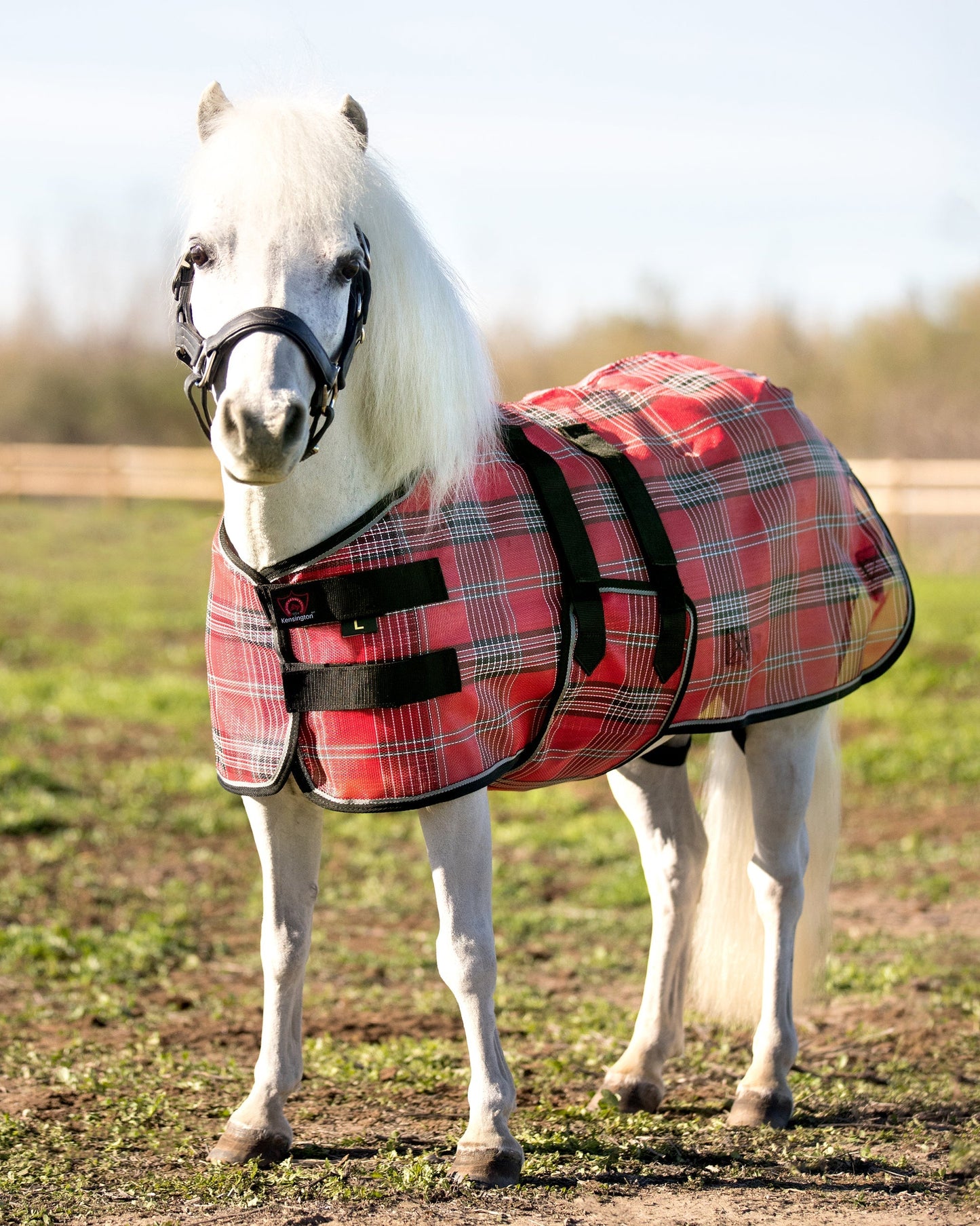 Protective Fly Sheet