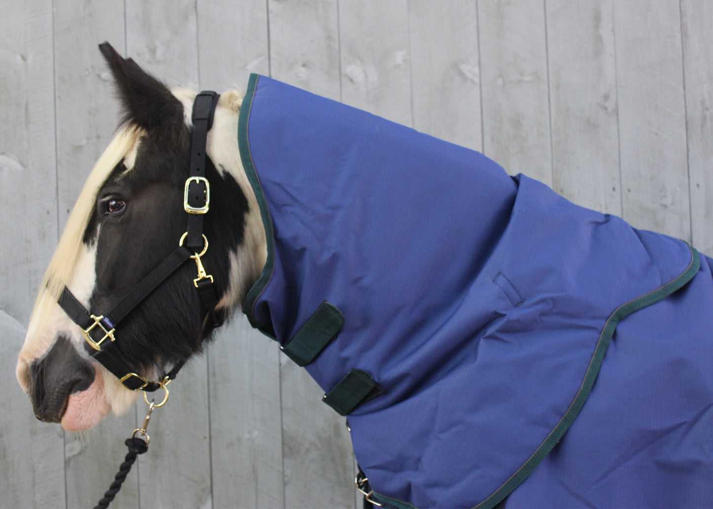 Shires Highlander 200G Neck Cover