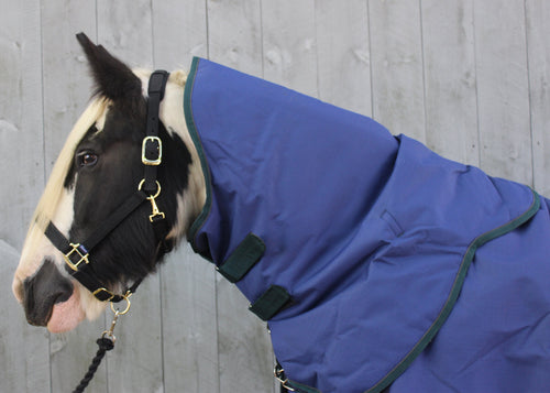 Shires Highlander 200G Neck Cover