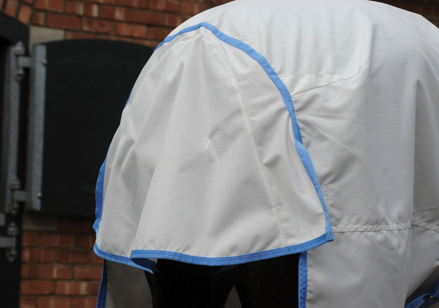 Sweet Itch Shield with Combo Neck