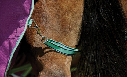 Premier Free II Detach-A-Neck Medium-Weight Turnout Blanket
