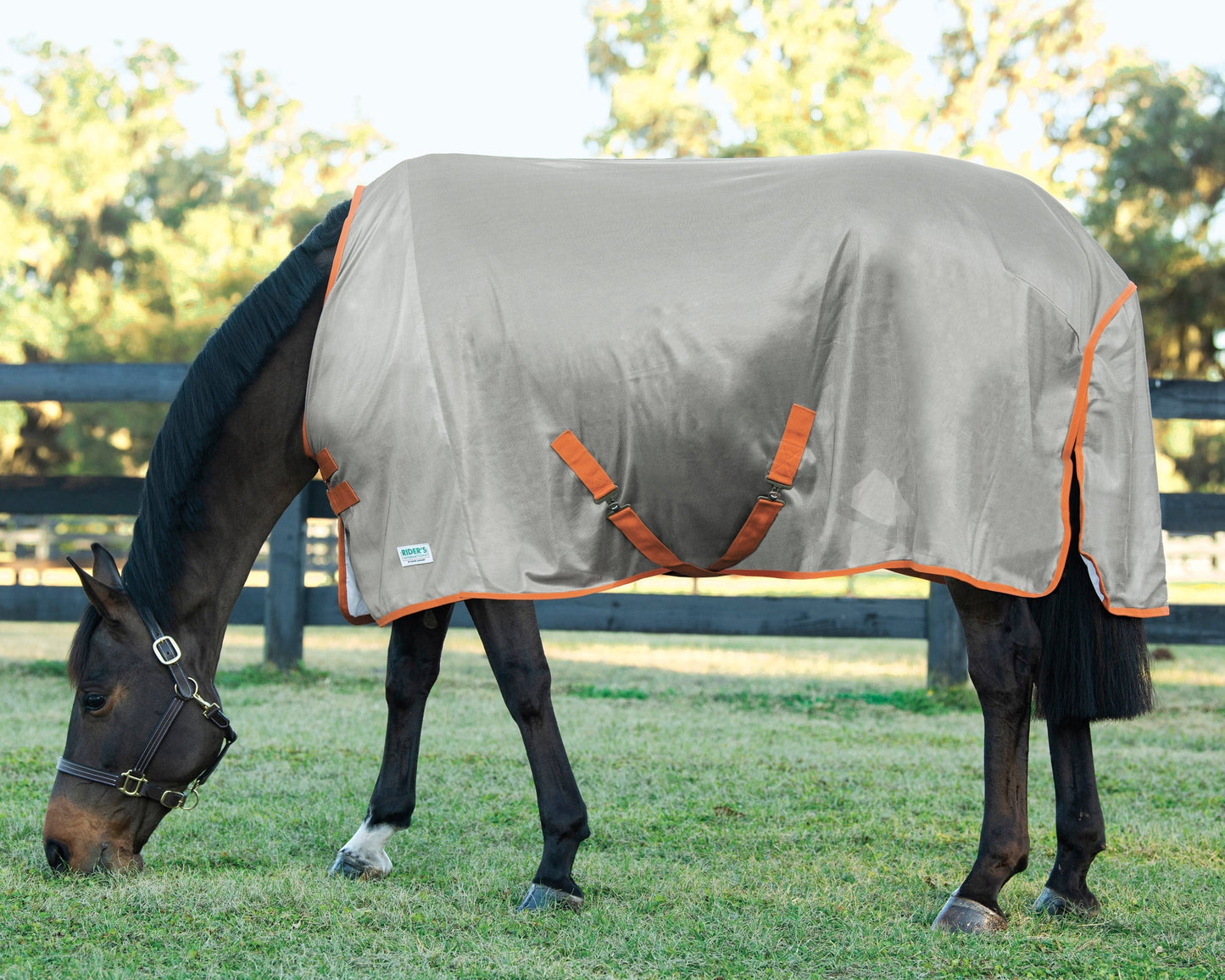Fly Sheet