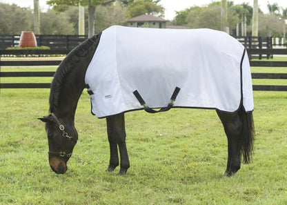 Fly Sheet