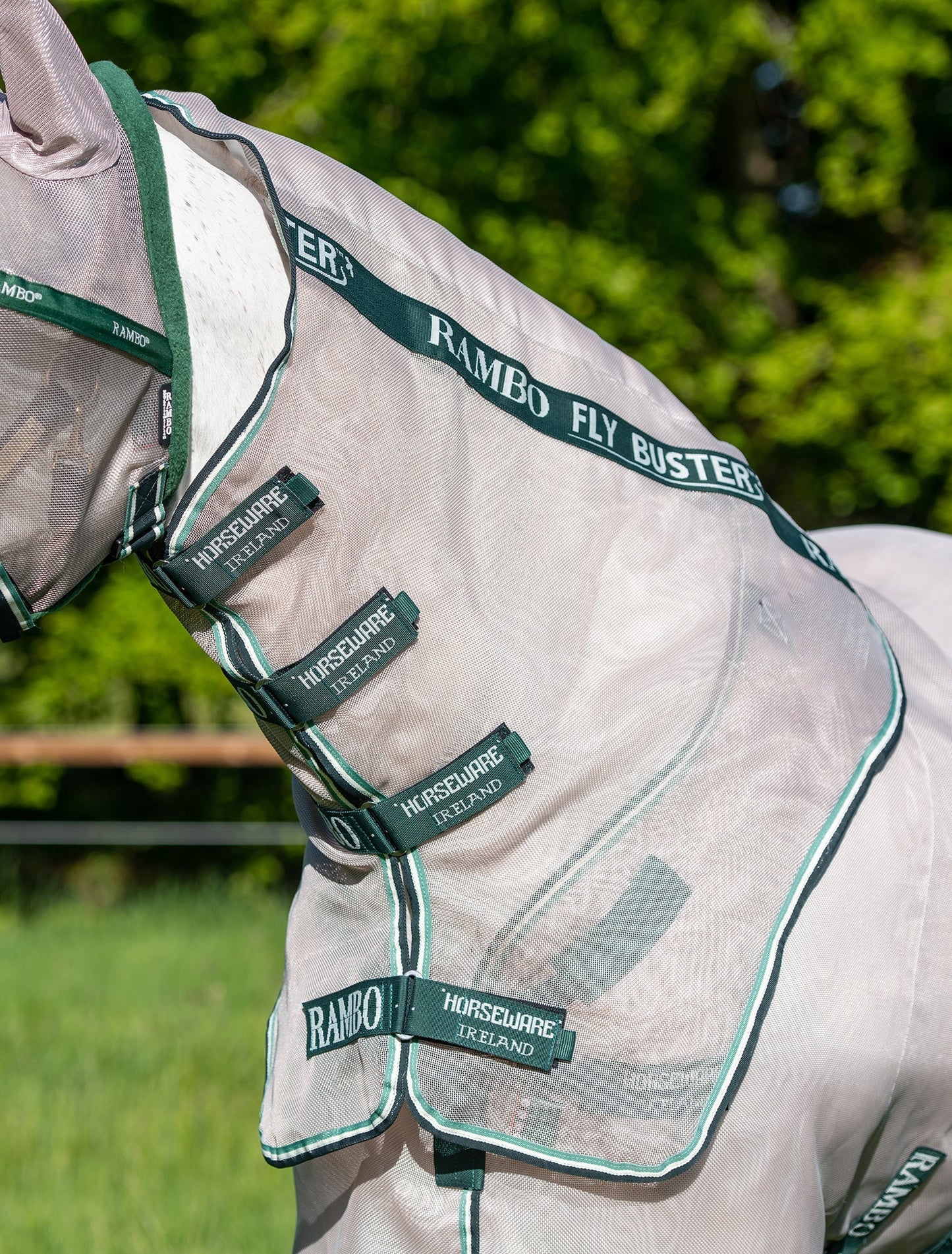 Fly Sheet with No-Fly
