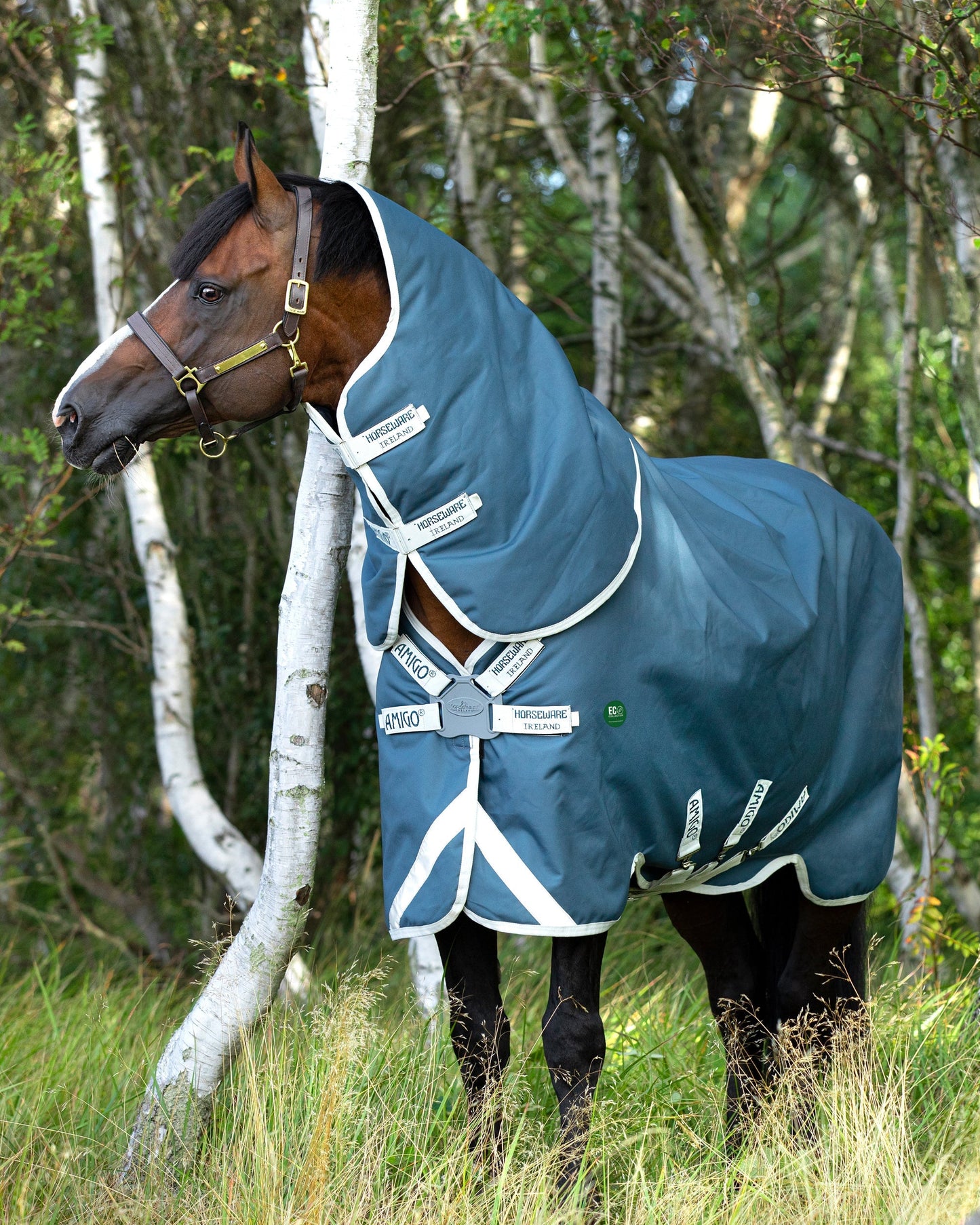 AmEco 12 Plus Lightweight Turnout Blanket