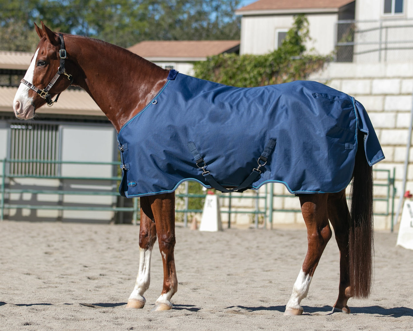Signature Heavyweight Turnout Blanket