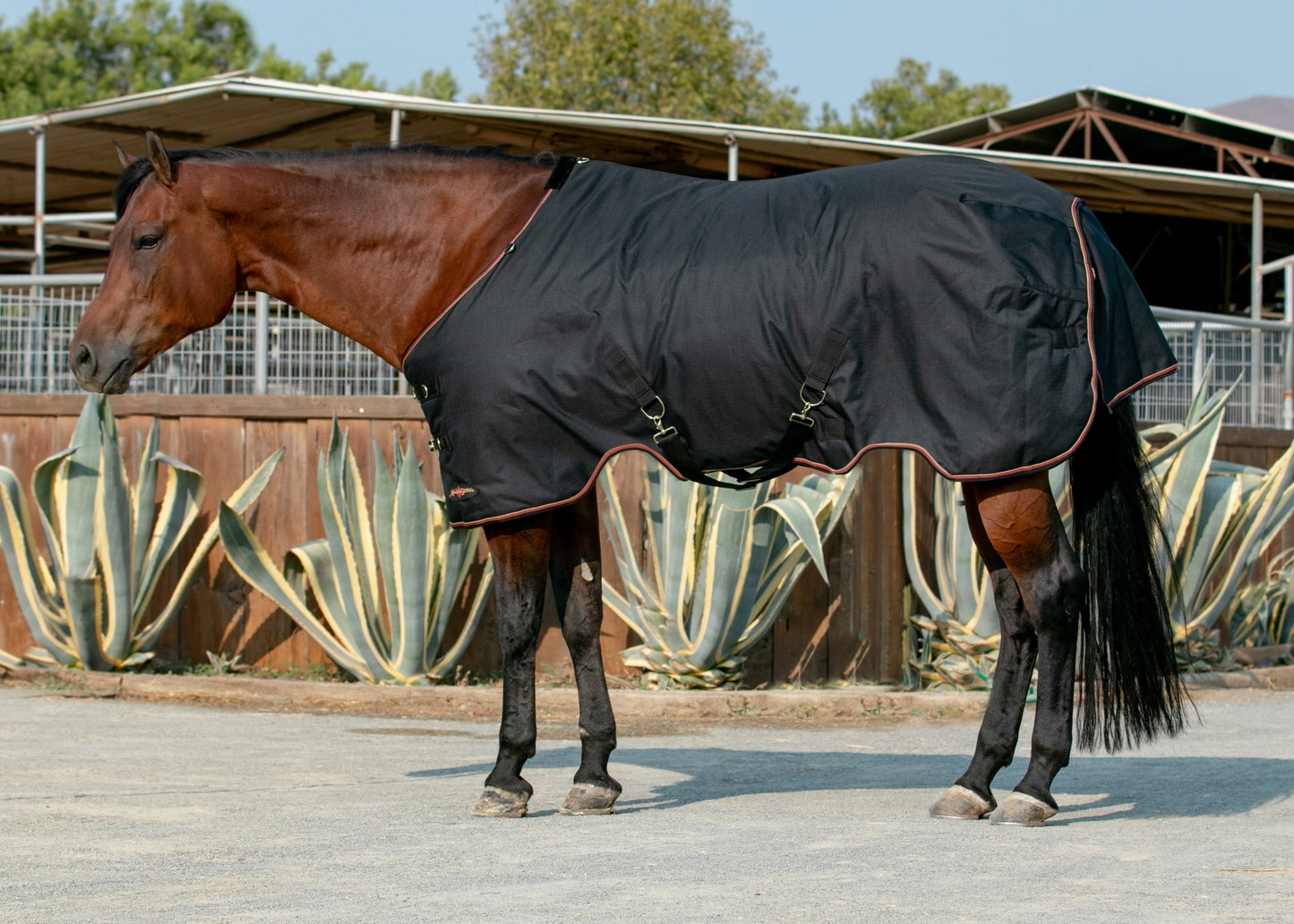 Signature Heavyweight Turnout Blanket