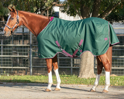 Signature Heavyweight Turnout Blanket