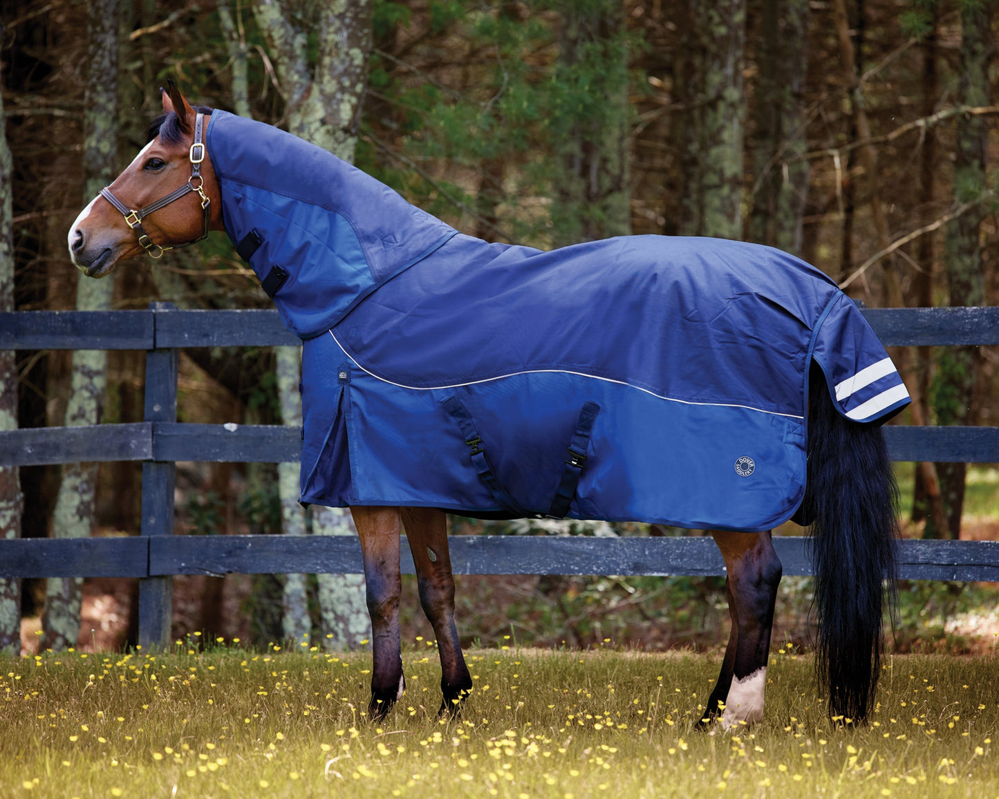 Medium-Weight Turnout Blanket