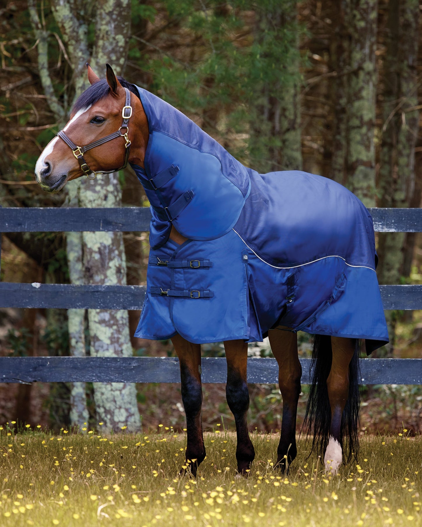 Light-Weight Turnout Blanket with Detachable Neck–100 grams