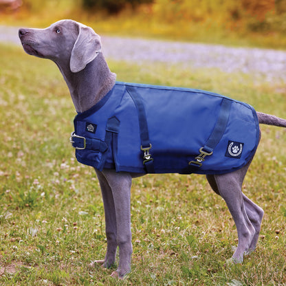 Dog Turnout Blanket
