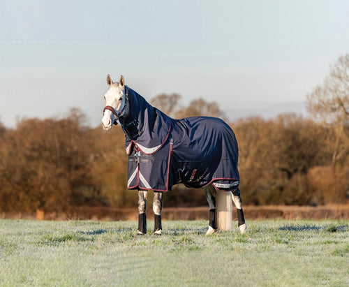 Kudos 200 Gram Turnout Blanket