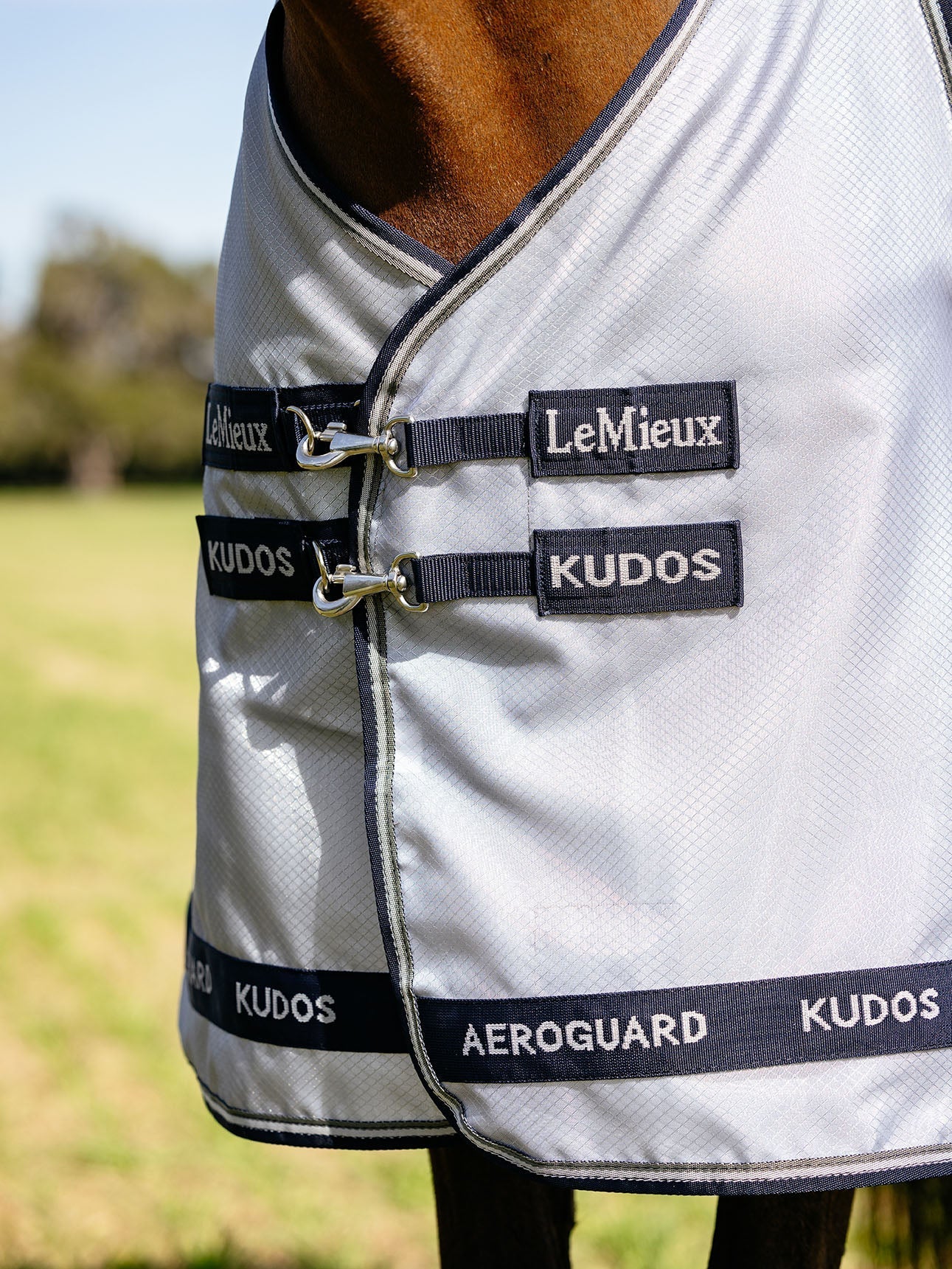 Kudos AeroGuard Fly Sheet