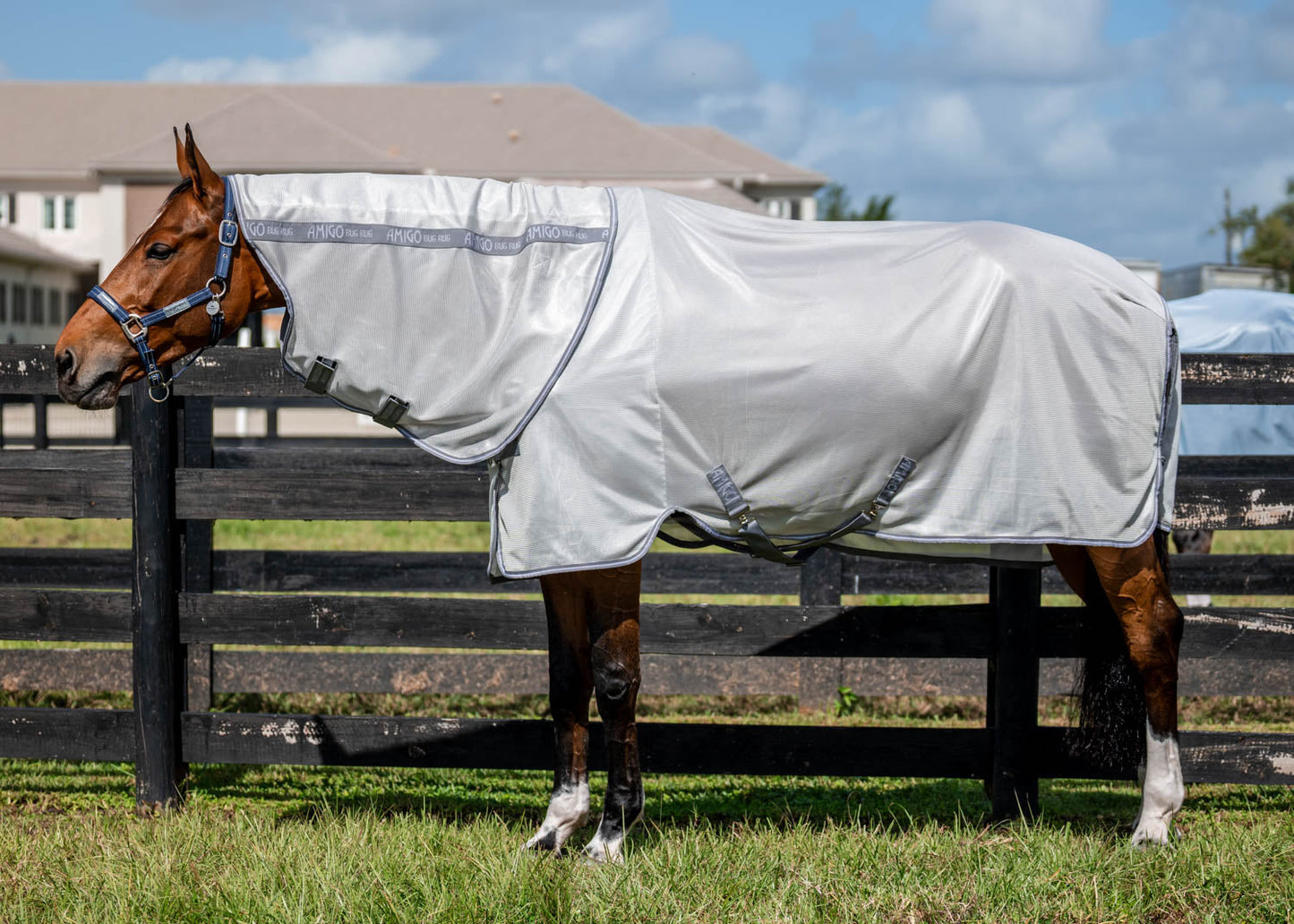 Bug Rug Plus Fly Sheet