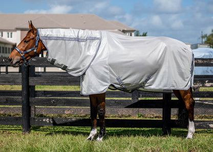 Bug Rug Plus Fly Sheet