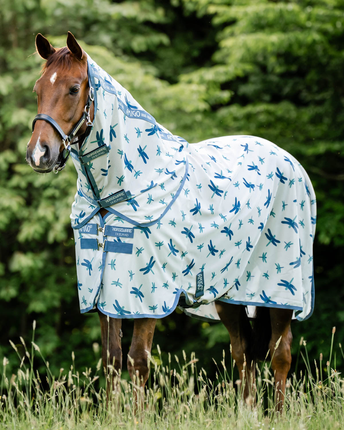 Bug Rug Plus Fly Sheet