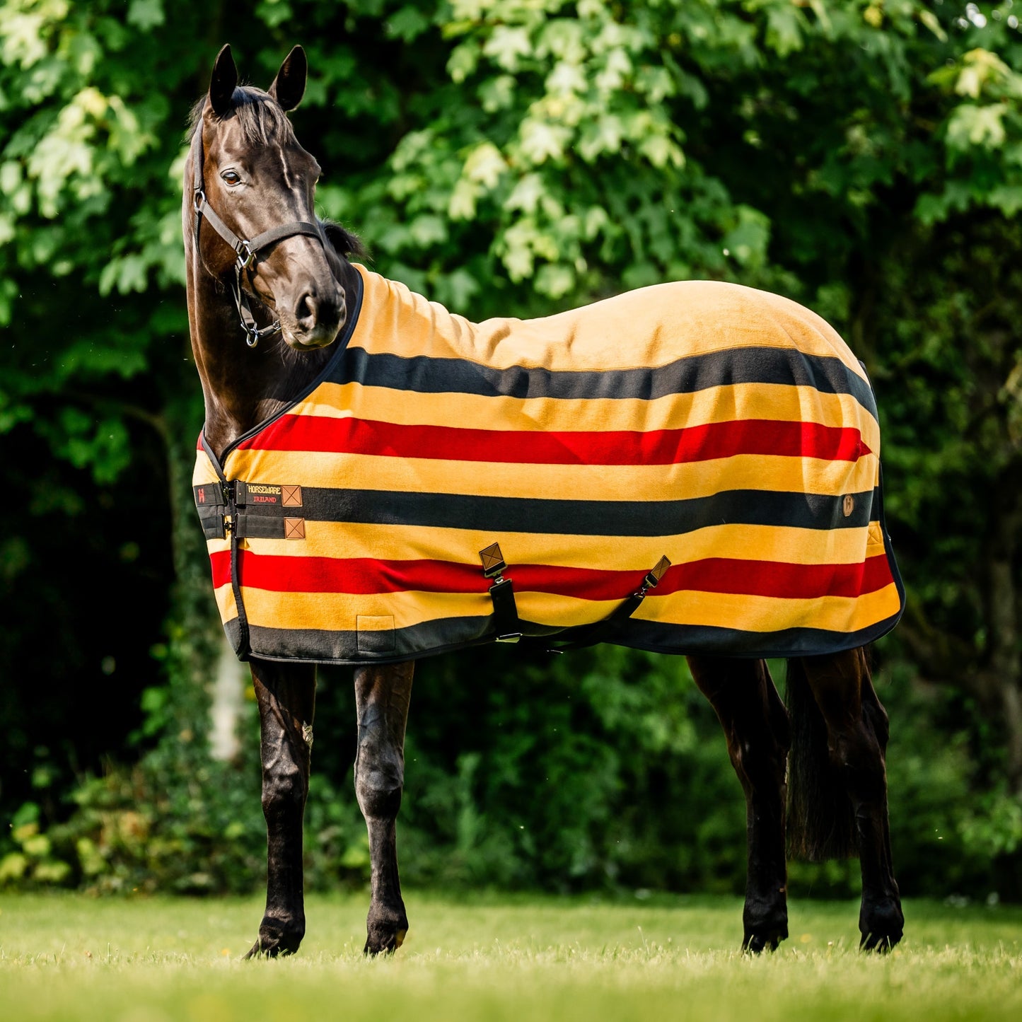 Ireland Newmarket Fleece Cooler