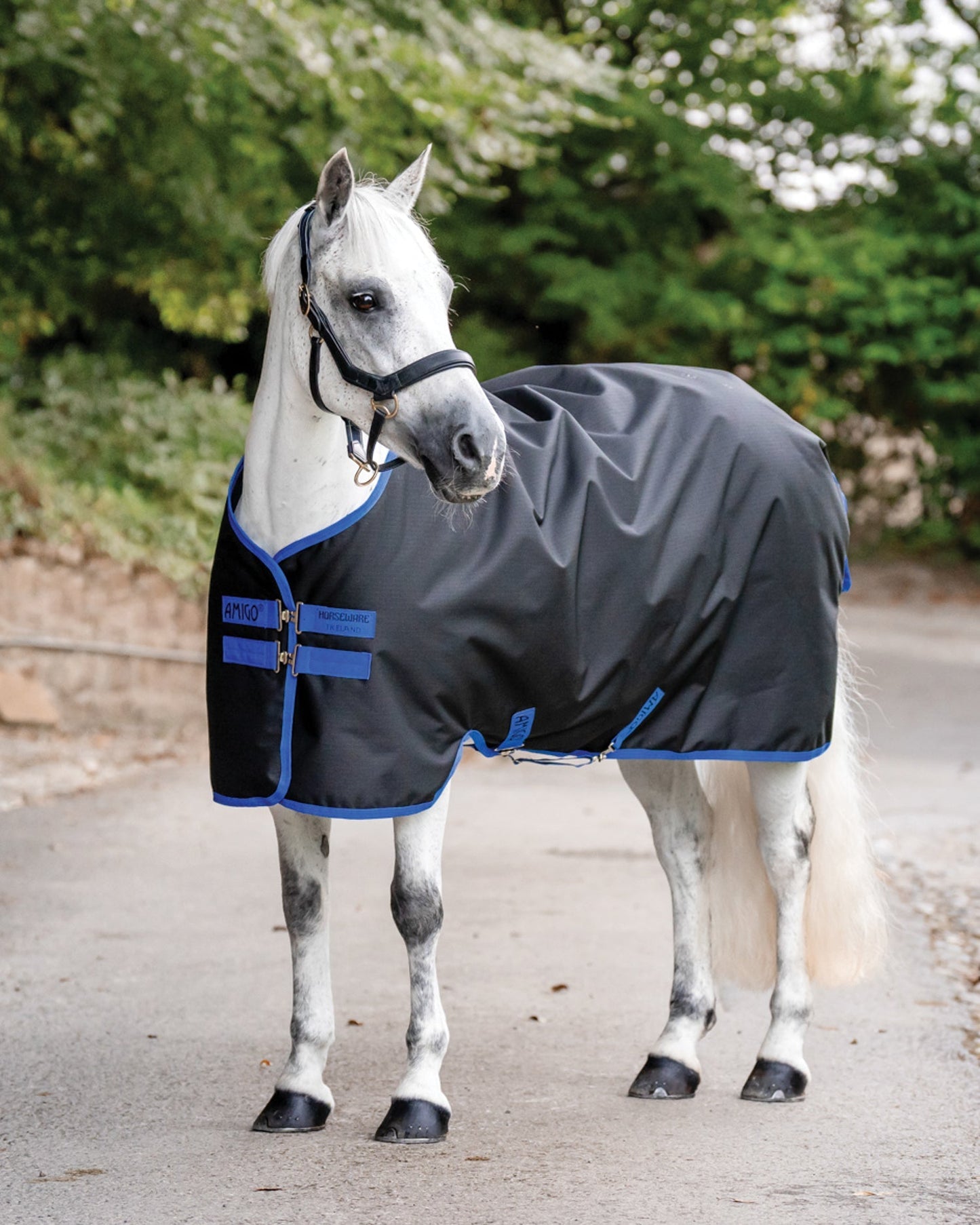 Ripstop 900D 100 Gram Standard Neck Pony Turnout