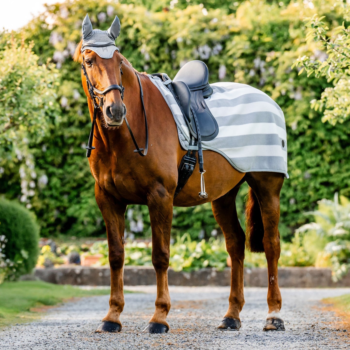 Ireland Newmarket Exercise Sheet