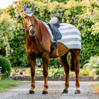 Ireland Newmarket Exercise Sheet