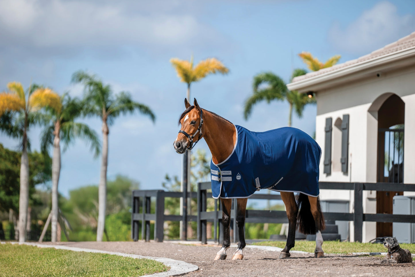 Stable Sheet–Core Color