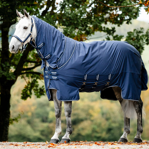 Ireland Show Ready Rug