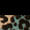 Ladies’ Kelmarsh Shortie Rubber Boots