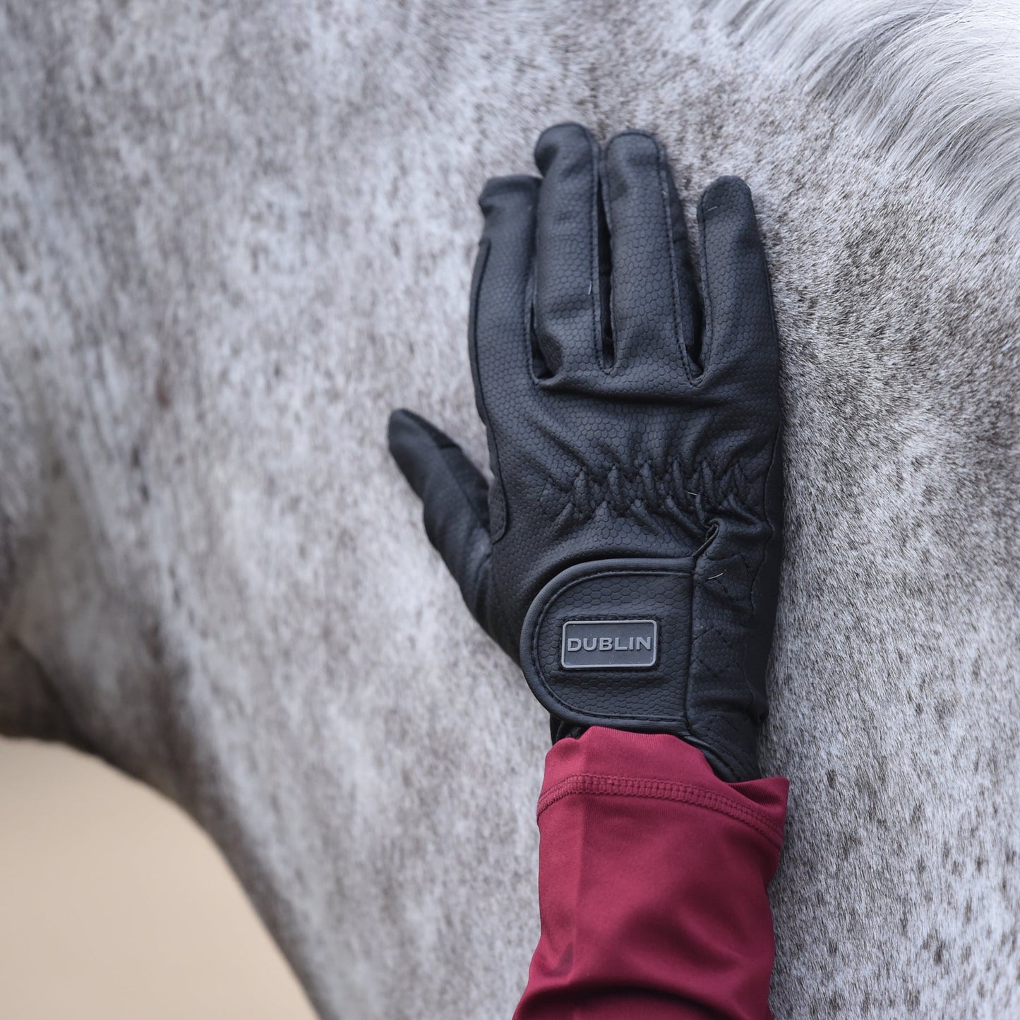 Everyday Riding Gloves