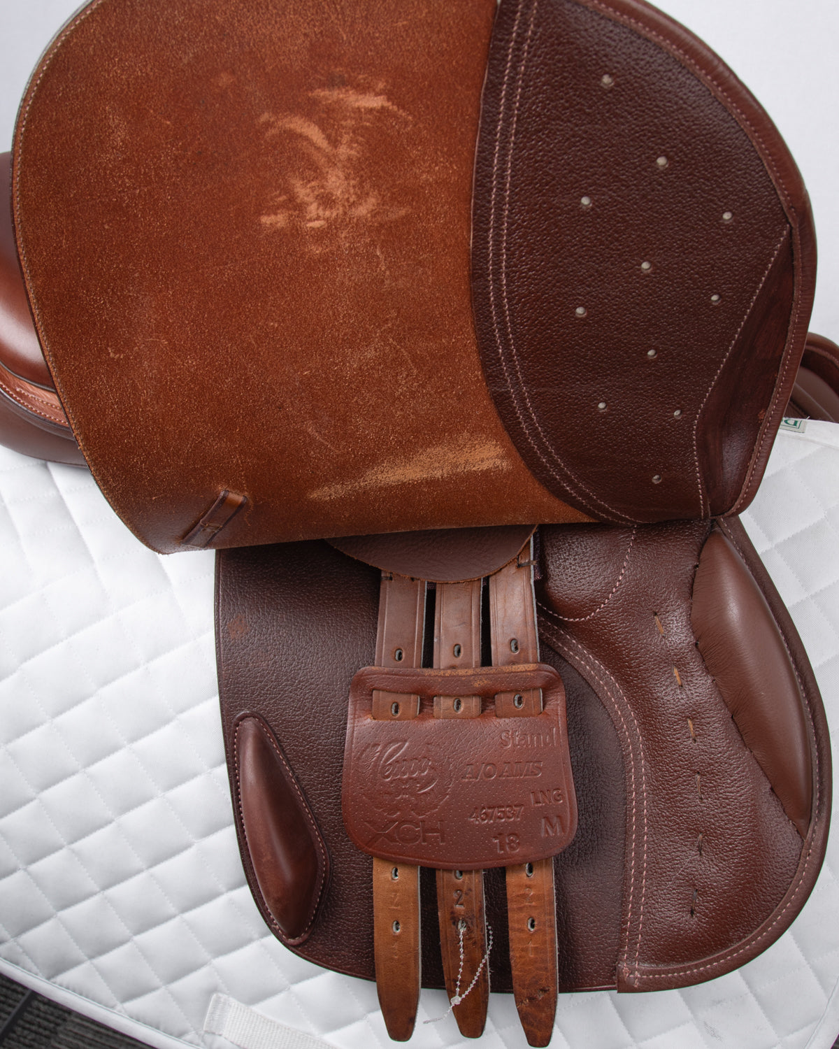 Saddle