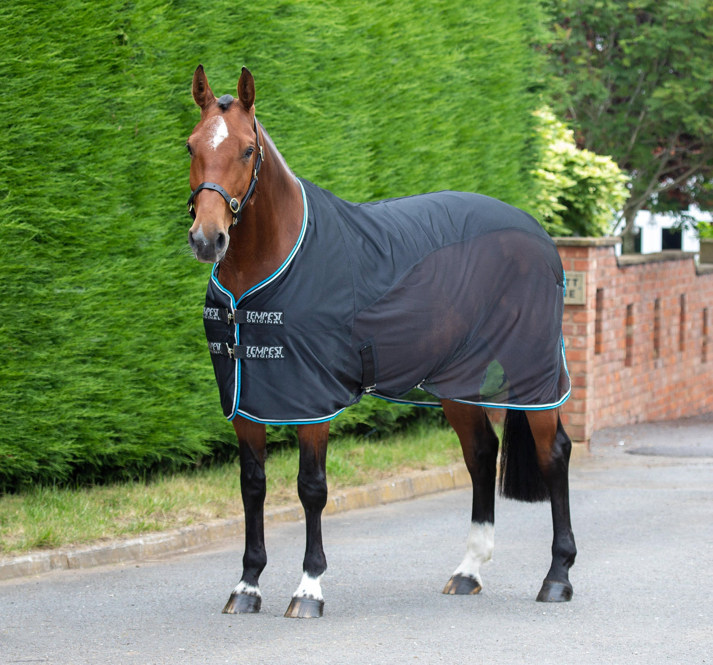 Shires Tempest Fleece Mesh Cooler